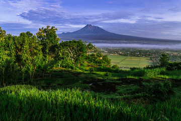 Merapi Mountain when morning