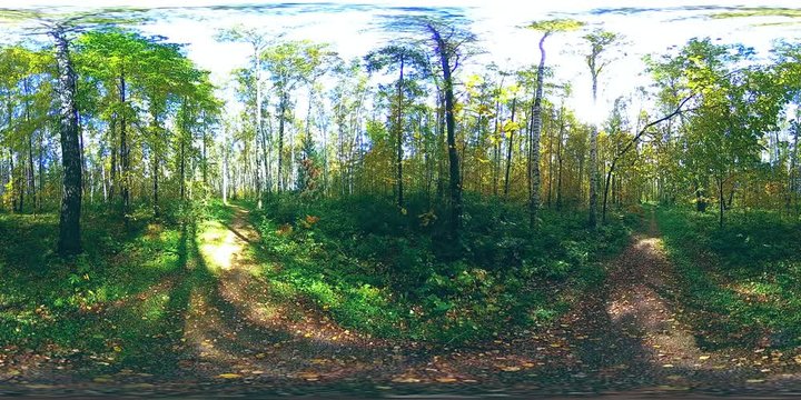 UHD 4K 360 VR Virtual Reality of a city park recreation area. Trees and green grass at autumn or summer day. Path and sun rays. Original sound.