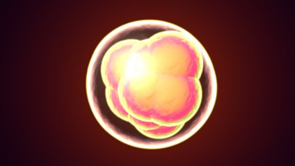 3d illustration of human body cell division