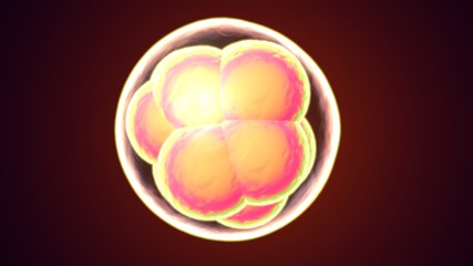 3d illustration of human body cell division