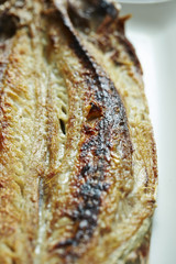 Grilled Fish
