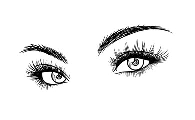 Beautiful Woman Eyes with Eyelash Extensions Sketch, a hand drawn vector sketch illustration of beautiful eyelash extension.