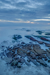 Diverse Beauty Graces the California Coast
