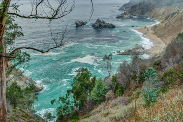 Diverse Beauty Graces the California Coast
