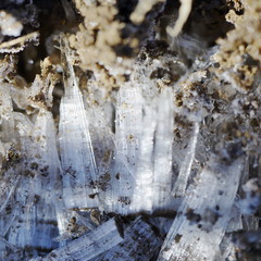 冬の寒い朝に土を押し上げる霜ばしら