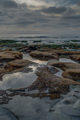Diverse Beauty Graces the California Coast
