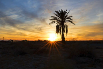 Desert sunrise at the abandoned shore of the Salton Sea