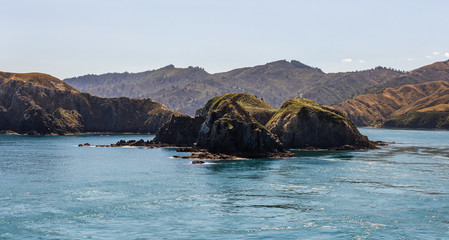 Wild landscape, shot from the top deck of a ferry, travelling from Wellington to Picton, New Zealand.