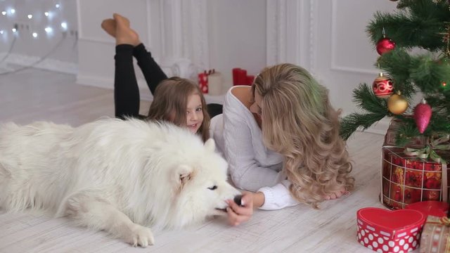 Lovely mother and child playing under a Christmas tree with a fluffy dog. Samoyed husky dog.