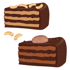 Chocolate cake with nuts isolated on white background. Dessert with cashew nuts. A piece of chocolate cake close-up. Vector illustration.