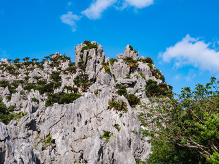 沖縄県 国頭郡 大石林山