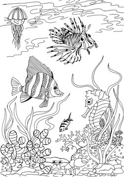 Underwater world. Animals of the tropical seas. Freehand sketch drawing for adult antistress coloring book