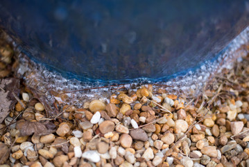 Rocks in Water Pot