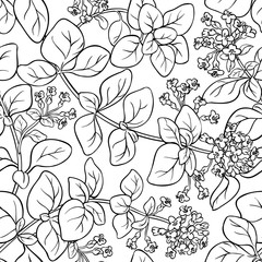 oregano seamless pattern