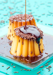 Vanilla puddings on colorful background with liquid chocolate