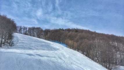 pista da sci in mezzo al bosco