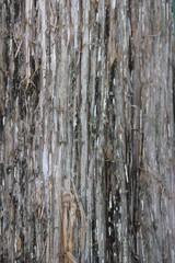 Weathered Wood