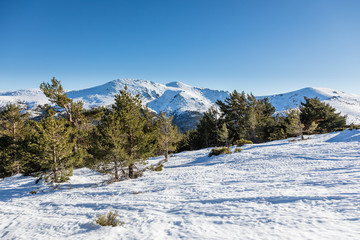 Fototapeta premium Snowy mountains in the port of Cotos in Guadarrama, Madrid