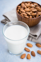 Vegan Nut Milk. Almond Milk in glass and bowl with nuts. Copy space