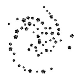 Monochrome Bear Footprints in Black and White. Prints of Paws with Big Claws for Petshop Design or for Goods for Pets. Simple Pattern for Print, Logo or Poster. Vector Confetti Background.