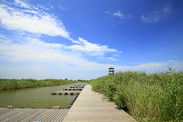 Landscape of wetlands