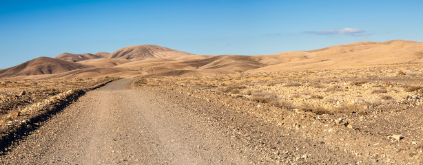 Desert area, Fuerteventura, Canary Islands