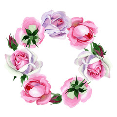 Wildflower tender pink rose flower wreath in a watercolor style. Full name of the plant: tender pink rose, hulthemia. Aquarelle wild flower for background, texture, wrapper pattern, frame or border.