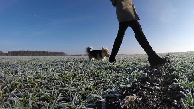 A woman walks with a dog on a green field covered with frost.
