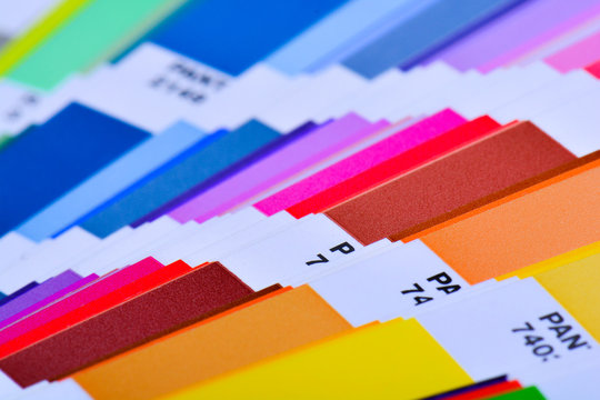 Color Palette Guide Close Up. Colorful Swatch Catalog