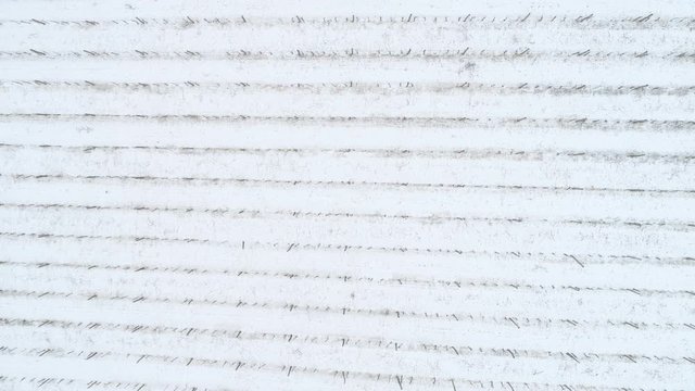 aerial video of Vineyard in winter time with snow