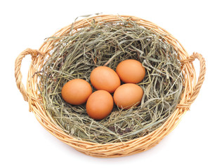 Eggs in a nest.