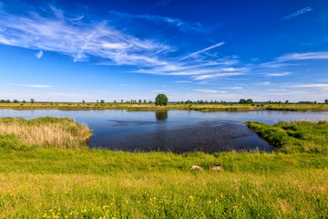 An der Oder