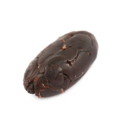 Single cocoa bean isolated