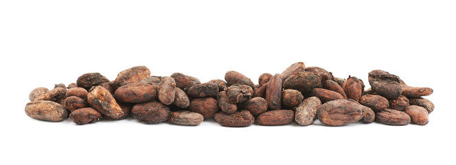 Line of cocoa beans isolated