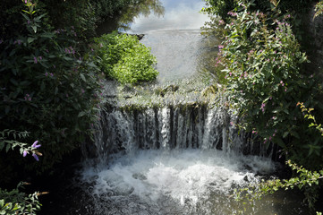 Fototapete bei efototapeten.de bestellen   