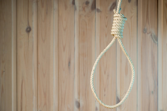 empty noose of the rope on the background of wooden wall close-up