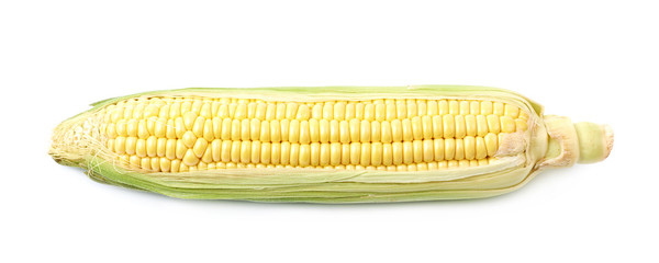 Ear of corn corncob isolated