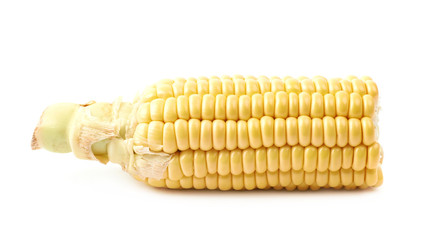 Ear of corn corncob isolated