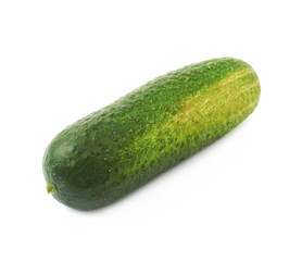 Fresh green cucumber isolated