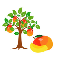 A tree of mango. Vector  symbol,  abstract,  icon,  element,