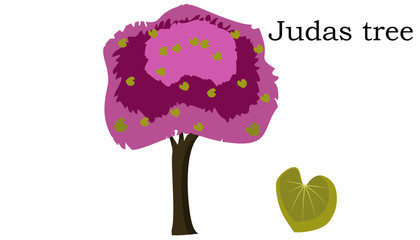 Judas  Trees vector element. vector icon green