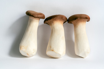 Brauner Kräuterseitling