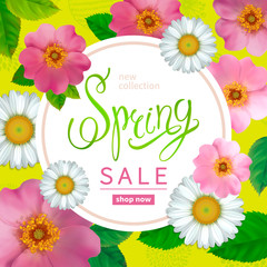 Spring sale background with flowers rose hips and chamomile, abstract hand drawn elements. Design for greeting cards, banners, calendars, posters, invitations.