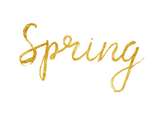 Spring - calligraphy grunge word.