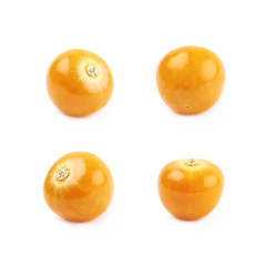 Single physalis fruit isolated