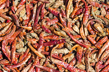Dried red chilli peppers background in Kathmandu, Nepal