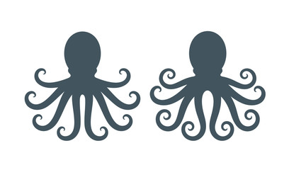 Octopus silhouette. Isolated octopus on white background © oleg7799