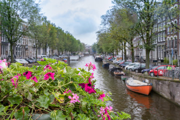 Fototapeta na wymiar Flowers on a bridge in Amsterdam, Netherlands