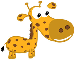 Fototapeta na wymiar a young giraffe smiling and in profile