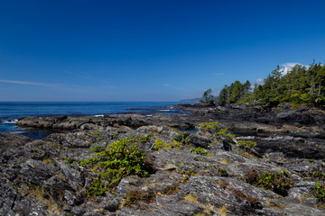 Fototapeta na wymiar Küstenlandschaft am Botanical Beach im Juan de Fuca Provincial Park auf Vancouver Island, British Columbia, Kanada.